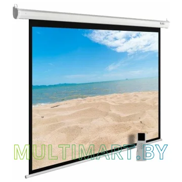 Проекционный экран CACTUS MotoExpert 240x180 (CS-PSME-240x180-WT)